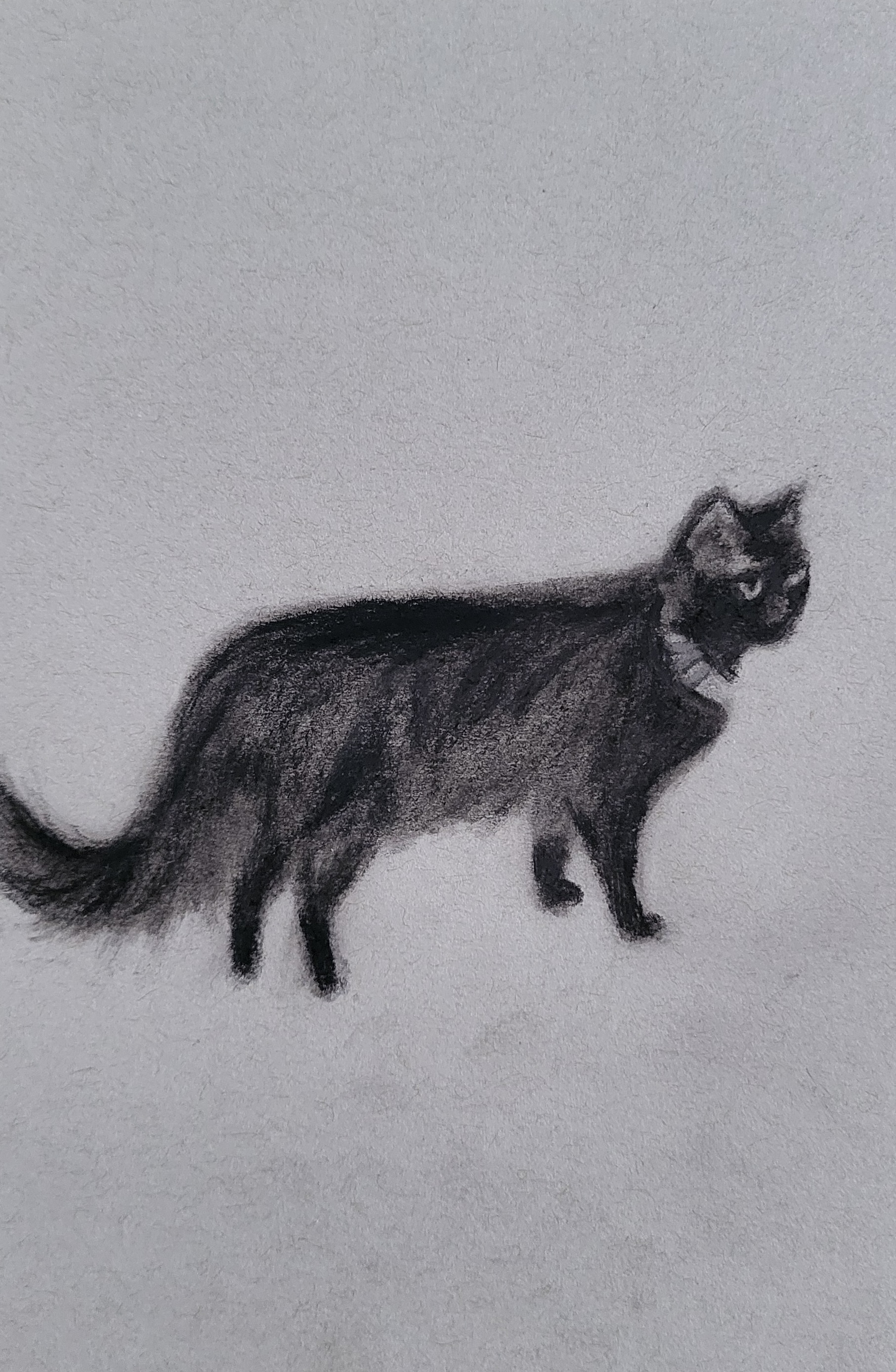 Charcoal sketch of a black cat walking
